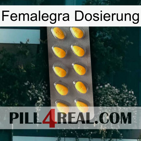 Femalegra Dosage cialis1